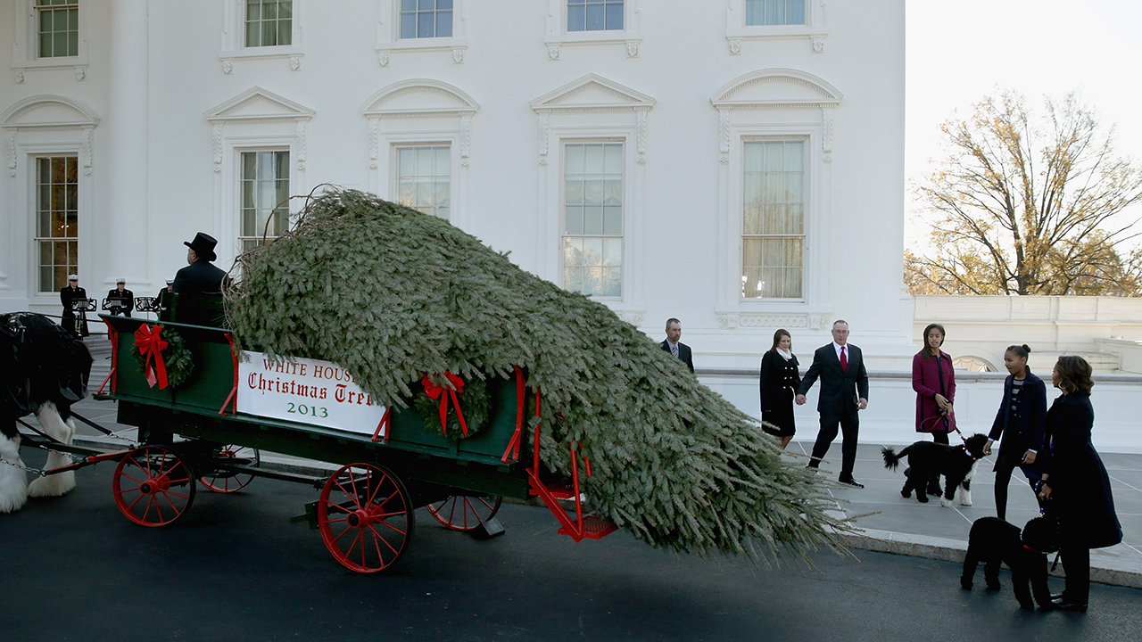 Michelle Obama Receives Official White House Christmas Tree